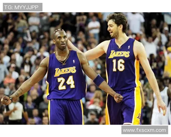 足球明星生肖解析全图鉴揭秘他们的属相与职业生涯的关系